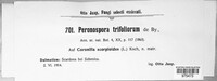 Image Associated With the Occurence